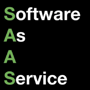 matt-c-milne-the-savvy-saas-system