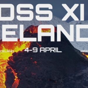 kevin-king-billion-dollar-seller-summit-xi-iceland